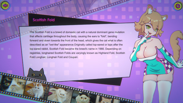 Screenshot 3 of Miss Neko 3