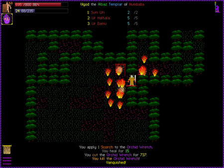 Screenshot 2 of Path of Achra