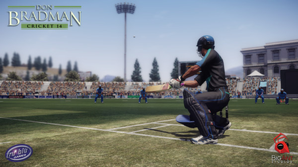 Screenshot 3 of Don Bradman Cricket 14