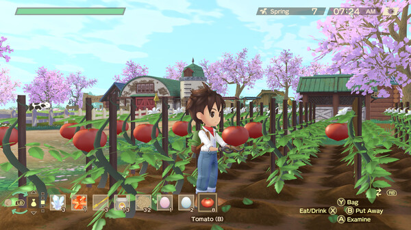 Screenshot 7 of STORY OF SEASONS: A Wonderful Life