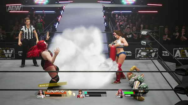 Screenshot 11 of AEW: Fight Forever