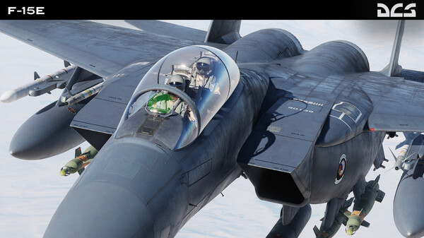 Screenshot 24 of DCS: F-15E