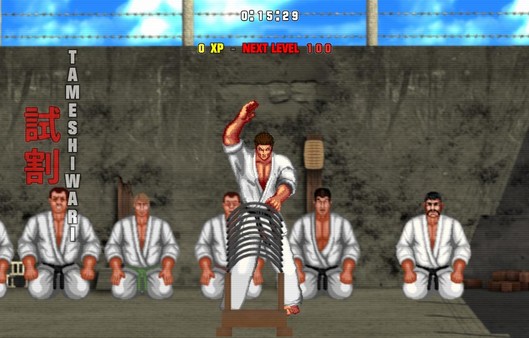 Screenshot 3 of Karate Master 2 Knock Down Blow