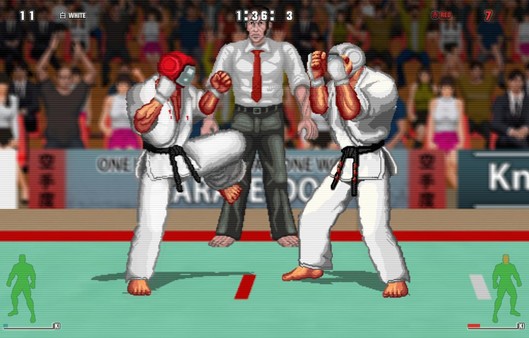 Screenshot 9 of Karate Master 2 Knock Down Blow