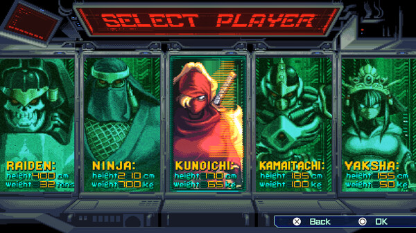 Screenshot 1 of The Ninja Saviors: Return of the Warriors