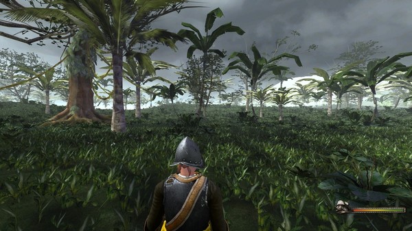 Screenshot 10 of Blood & Gold: Caribbean!