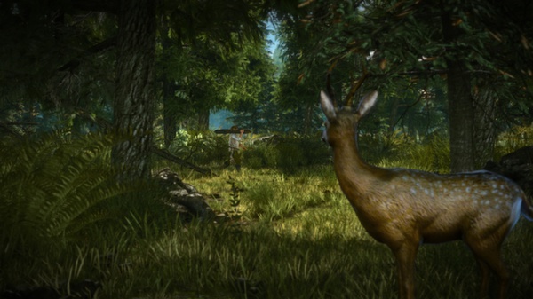 Screenshot 2 of The Witcher 2: Assassins of Kings Enhanced Edition