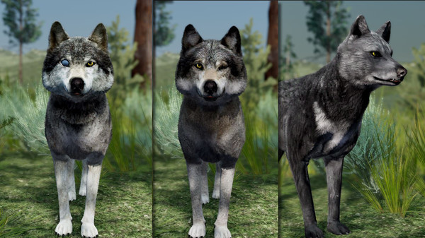 Screenshot 2 of WolfQuest Anniversary - Building Character Pack