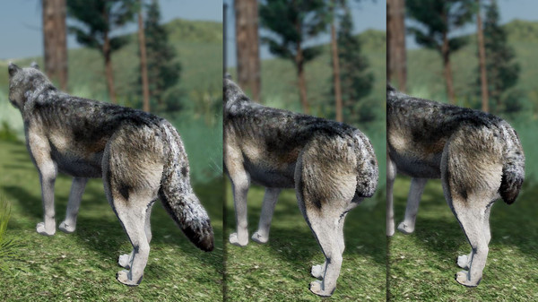 Screenshot 3 of WolfQuest Anniversary - Building Character Pack