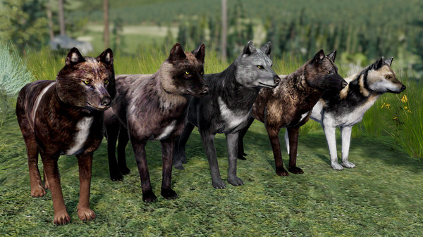 Screenshot 4 of WolfQuest Anniversary - Building Character Pack