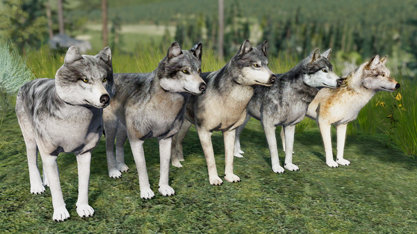 Screenshot 5 of WolfQuest Anniversary - Building Character Pack