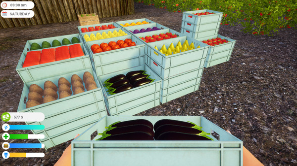 Screenshot 2 of Farmer Life Simulator