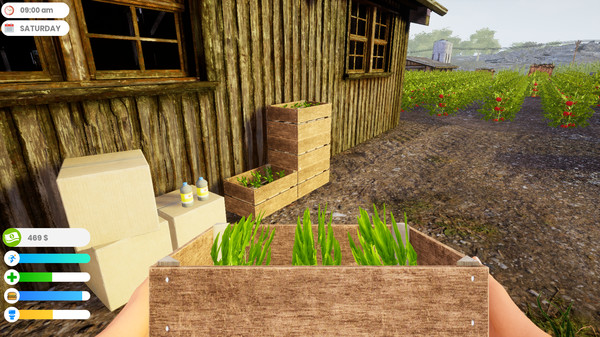 Screenshot 12 of Farmer Life Simulator