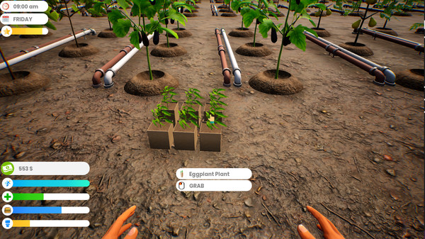 Screenshot 15 of Farmer Life Simulator