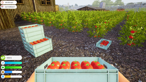 Screenshot 5 of Farmer Life Simulator