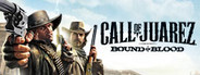 Call of Juarez®: Bound in Blood