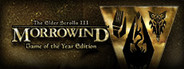 The Elder Scrolls III: Morrowind® Game of the Year Edition