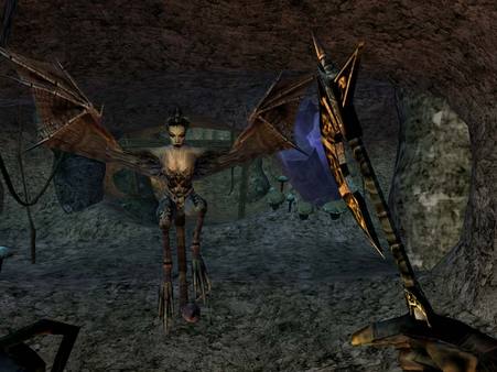 Screenshot 6 of The Elder Scrolls III: Morrowind® Game of the Year Edition