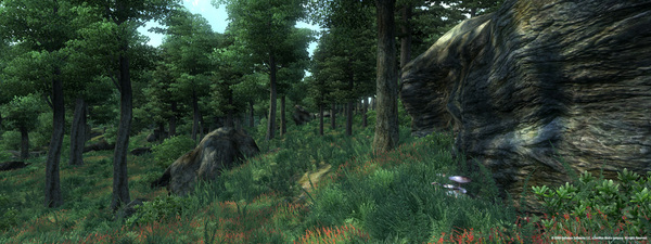 Screenshot 2 of The Elder Scrolls IV: Oblivion® Game of the Year Edition