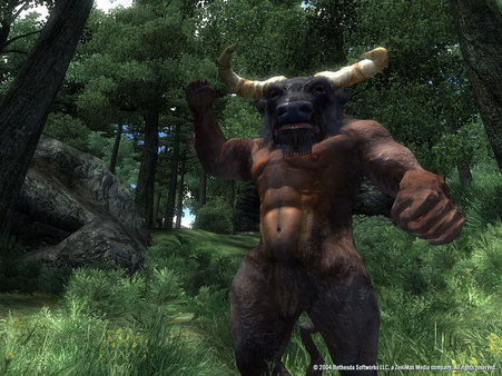 Screenshot 18 of The Elder Scrolls IV: Oblivion® Game of the Year Edition