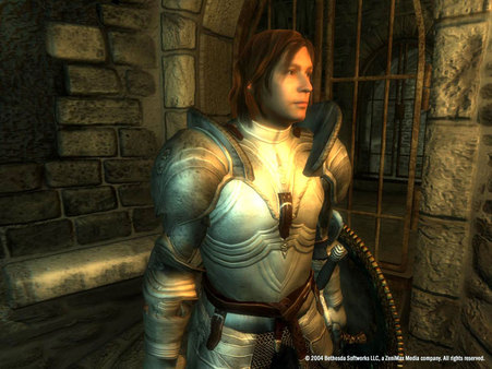 Screenshot 27 of The Elder Scrolls IV: Oblivion® Game of the Year Edition