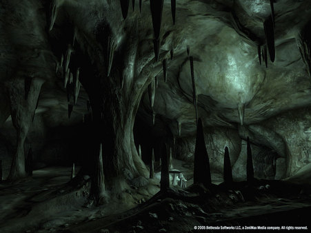 Screenshot 10 of The Elder Scrolls IV: Oblivion® Game of the Year Edition