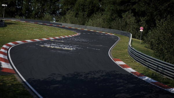 Screenshot 9 of Assetto Corsa Competizione - 24H Nürburgring Pack