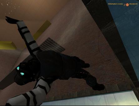 Screenshot 1 of Half-Life 2: Deathmatch