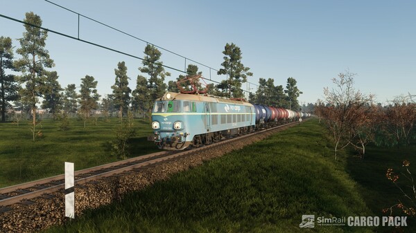 Screenshot 16 of SimRail - The Railway Simulator: Cargo Pack