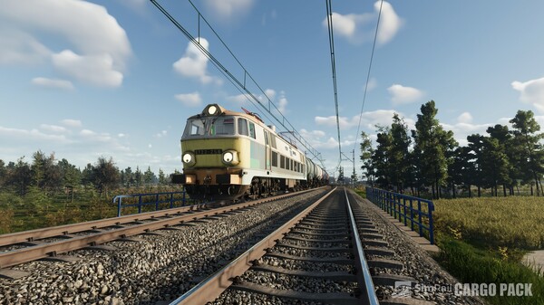 Screenshot 20 of SimRail - The Railway Simulator: Cargo Pack