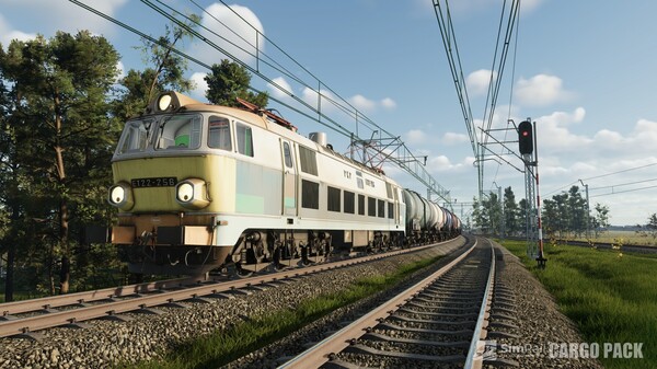 Screenshot 23 of SimRail - The Railway Simulator: Cargo Pack