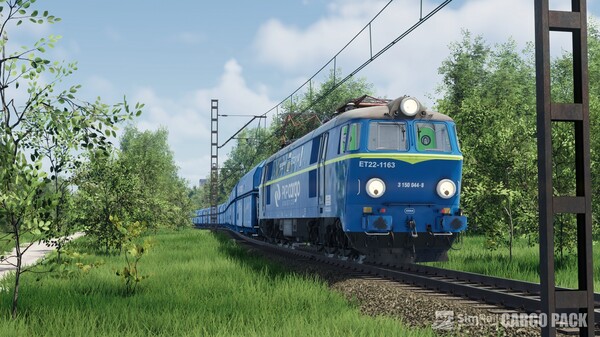 Screenshot 26 of SimRail - The Railway Simulator: Cargo Pack