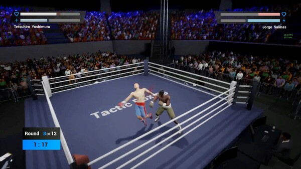 Screenshot 27 of Tactic Boxing