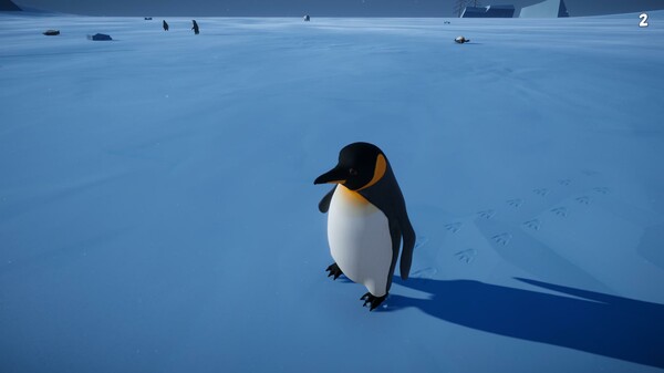 Screenshot 2 of Penguin Helper