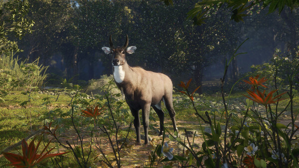 Screenshot 12 of theHunter: Call of the Wild™ - Sundarpatan Nepal Hunting Reserve