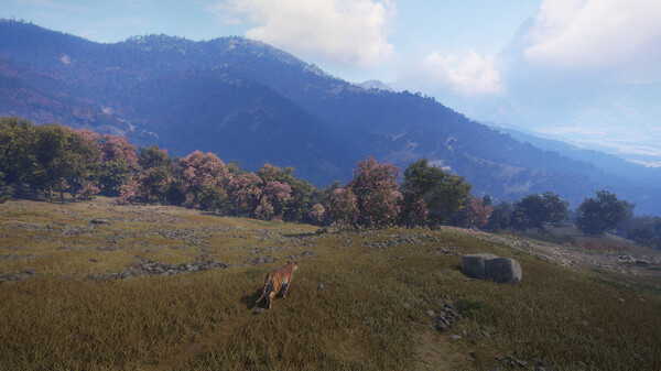 Screenshot 4 of theHunter: Call of the Wild™ - Sundarpatan Nepal Hunting Reserve