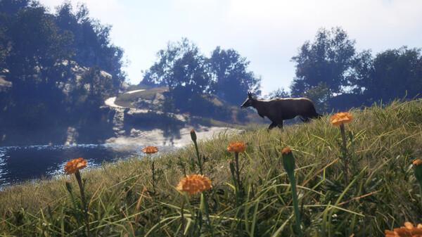 Screenshot 8 of theHunter: Call of the Wild™ - Sundarpatan Nepal Hunting Reserve