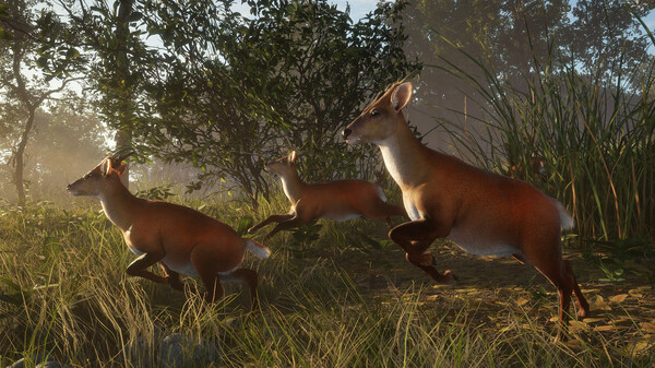 Screenshot 10 of theHunter: Call of the Wild™ - Sundarpatan Nepal Hunting Reserve