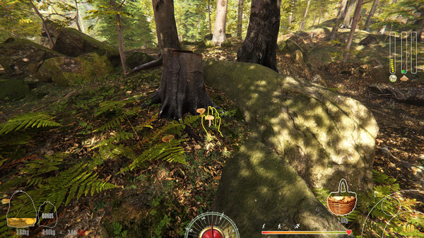 Screenshot 26 of Forest Ranger Simulator