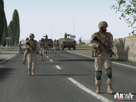 Screenshot 13 of ARMA: Combat Operations