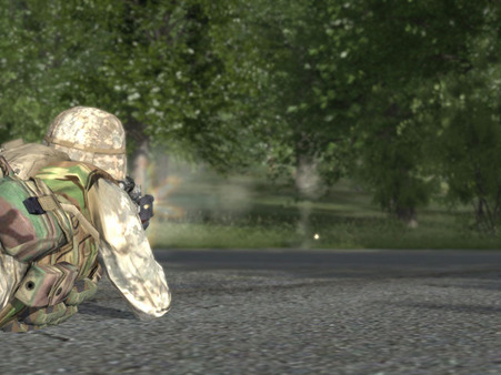Screenshot 6 of ARMA: Combat Operations