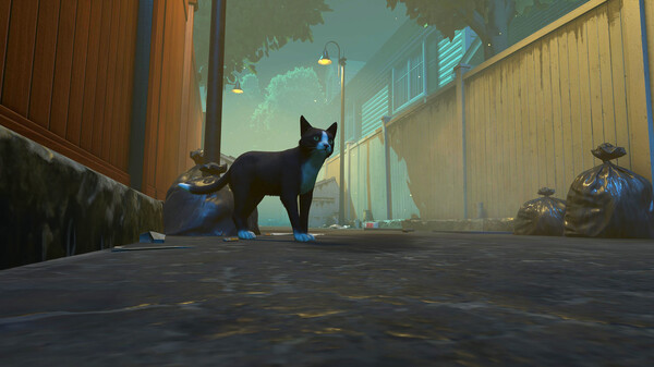 Screenshot 1 of Copycat