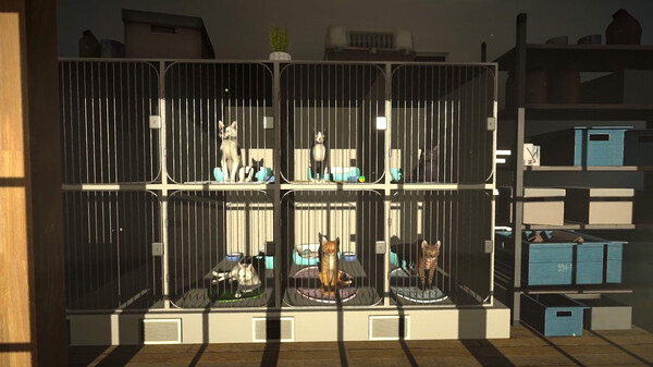Screenshot 7 of Copycat