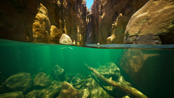 Screenshot 1 of Subside