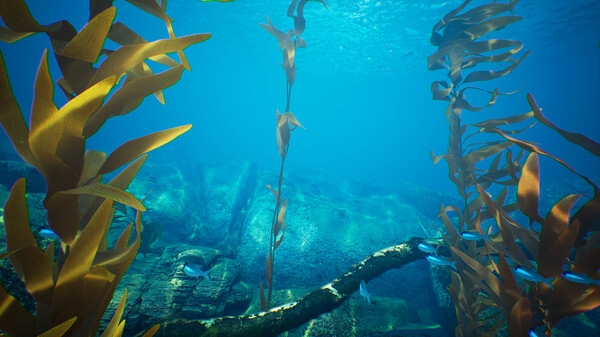 Screenshot 12 of Subside