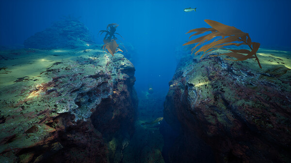 Screenshot 13 of Subside