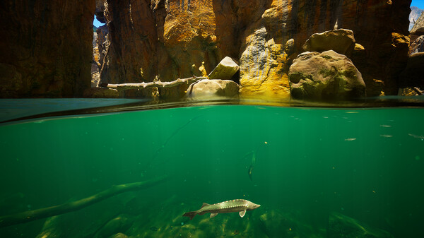 Screenshot 3 of Subside