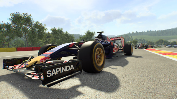 Screenshot 14 of F1 2015
