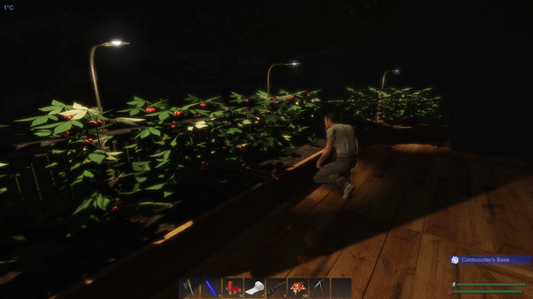 Screenshot 31 of Subsistence