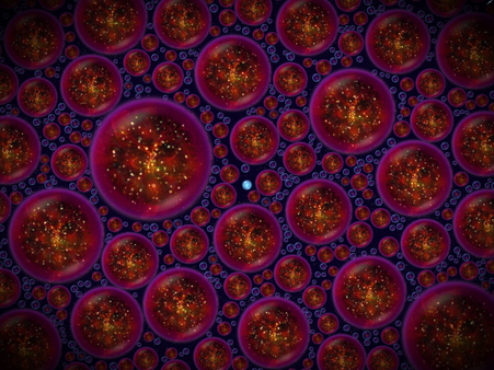 Screenshot 7 of Osmos